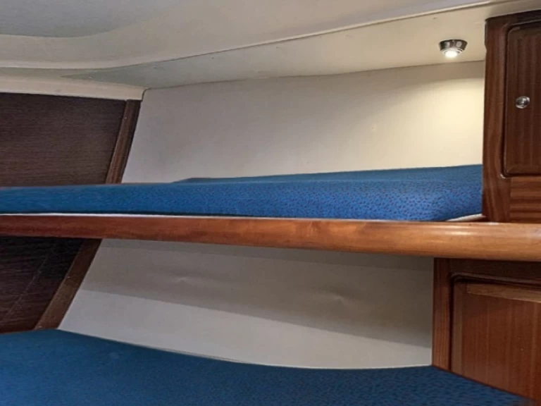 Bootverhuur Bavaria Bavaria 46 Holiday in Breege via SamBoat