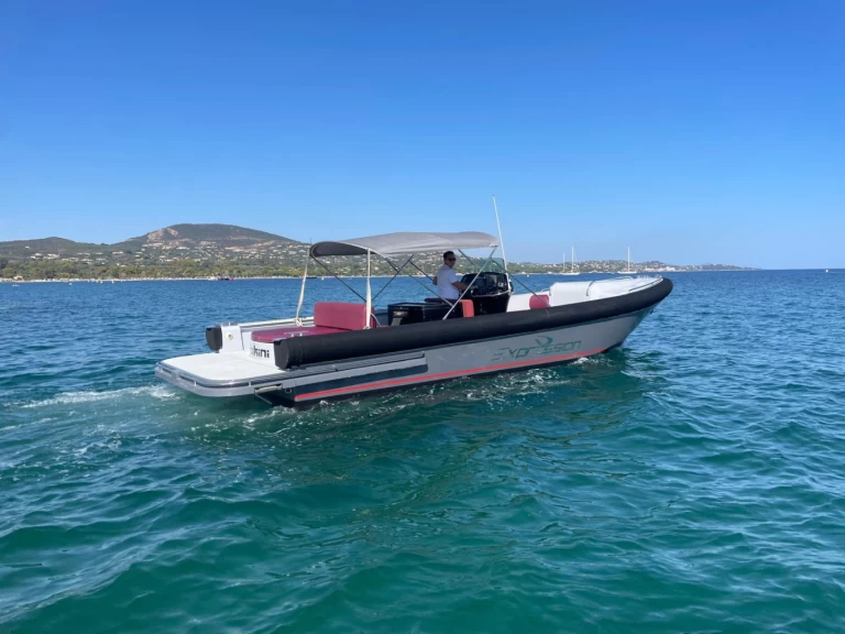 STS Expression 29 te huur van particulier of professional in Port de Cannes Marina