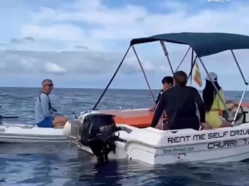 Jachthuur in Adeje - Mareti 460 via SamBoat