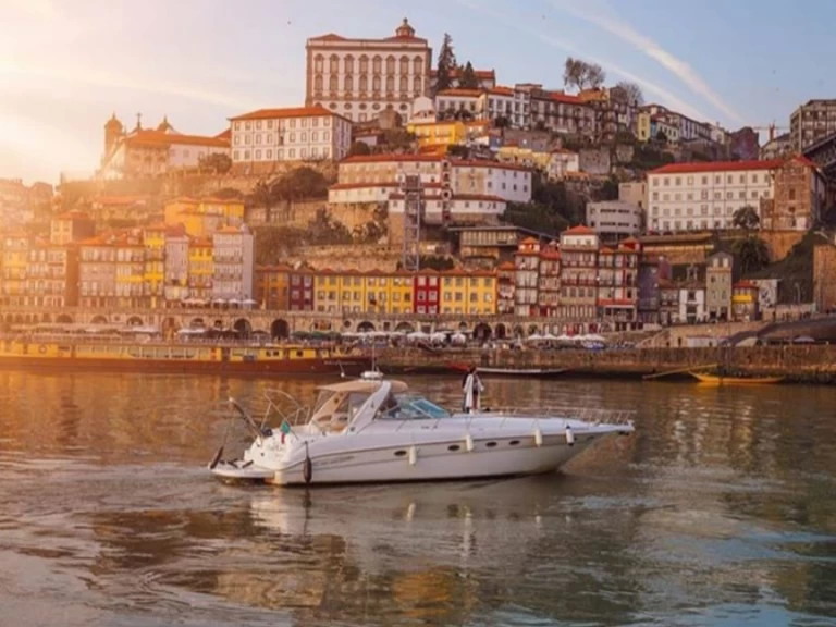 Verhuur Motorboot Sea Ray met vaarbewijs