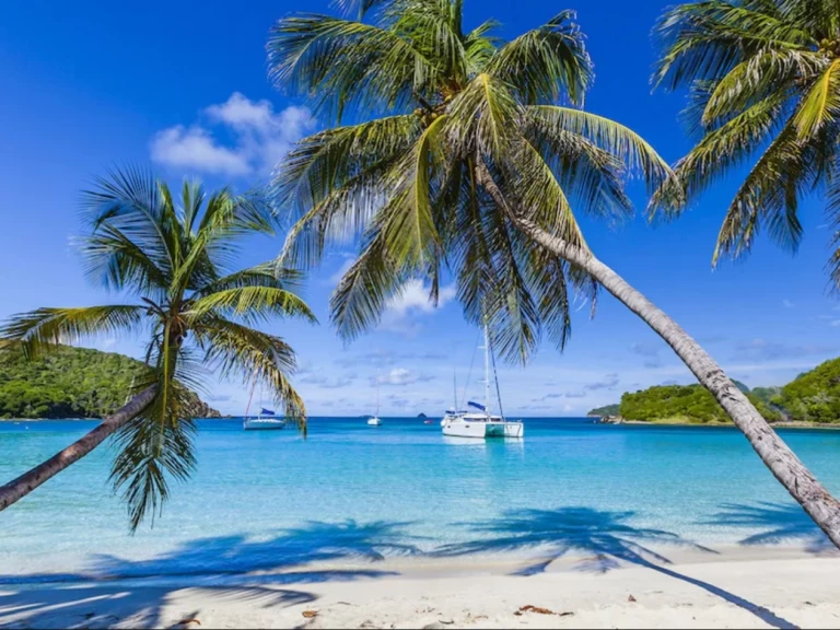 Lagoon Lagoon 380 S2 te huur van particulier of professional in Rodney Bay Marina