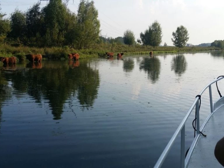 Motorboot te huur in Bunschoten-Spakenburg voor de beste prijs