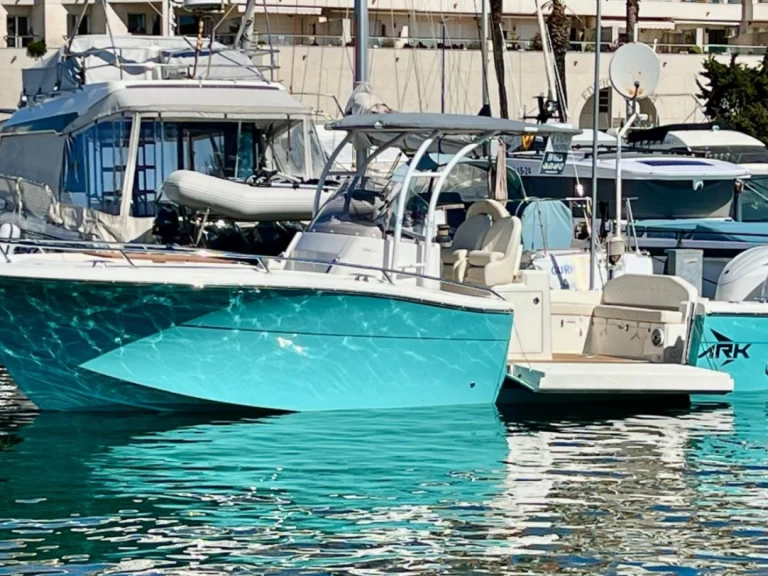 Verhuur Motorboot White Shark met vaarbewijs