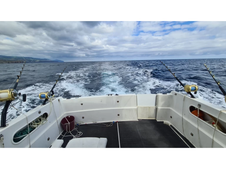 Verhuur Motorboot in Ponta Delgada (São Pedro) - Rodman Rodman 900 Fly