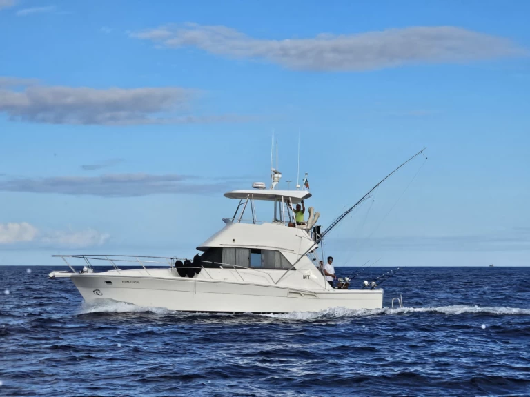 Verhuur Motorboot in Ponta Delgada (São Pedro) - Riviera Riviera 39 Open Flybridge