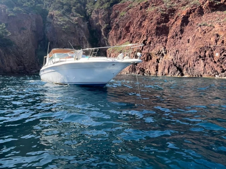 Jachthuur in Cannes - Sea Ray Sea Ray 420 Sundancer via SamBoat