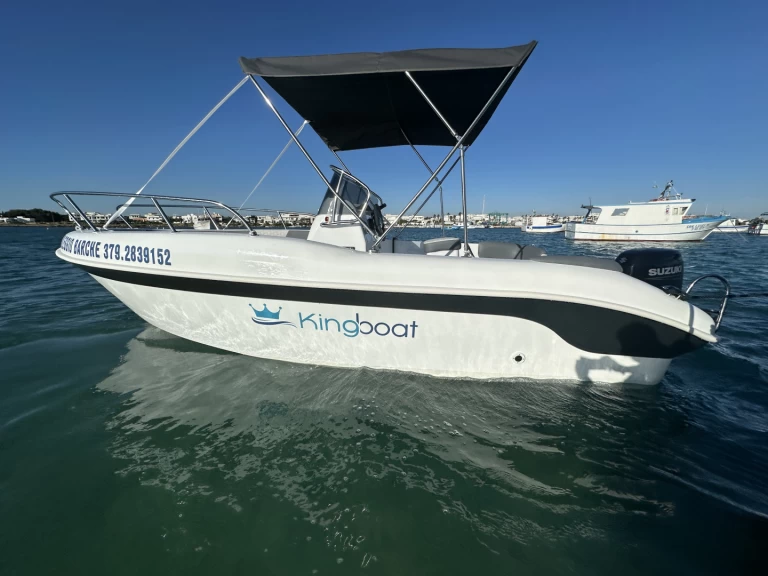 Huur Motorboot met of zonder schipper Albatros in Porto Cesareo