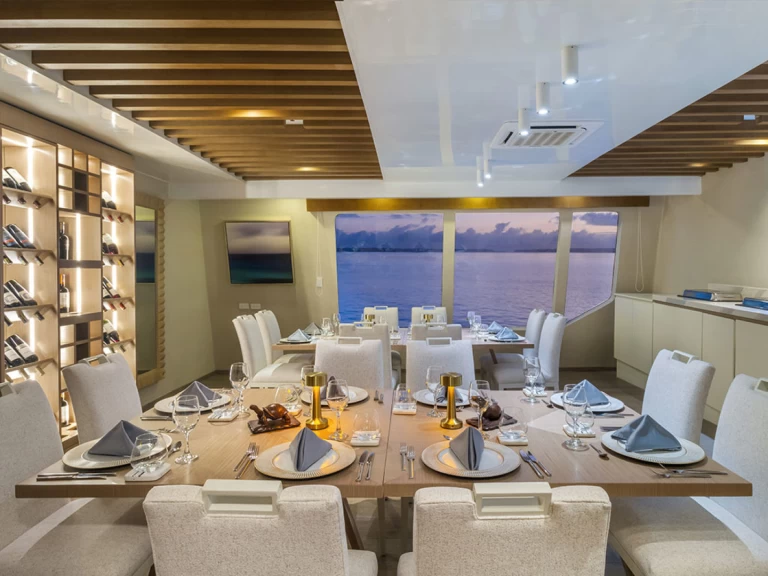  Power Cat - Endemic te huur van particulier of professional in Baltra Island