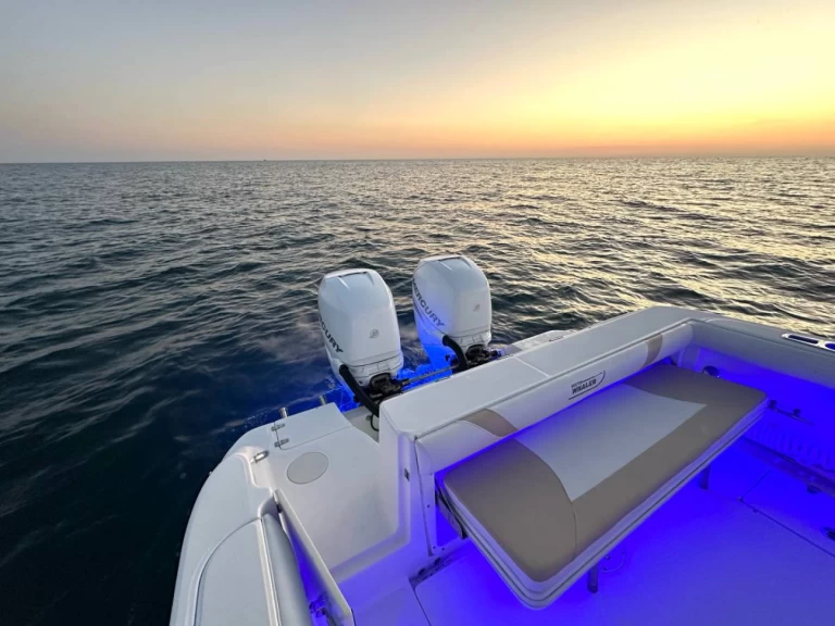 Verhuur Motorboot in Ýdra - Boston Whaler Boston Whaler 320 Outrage