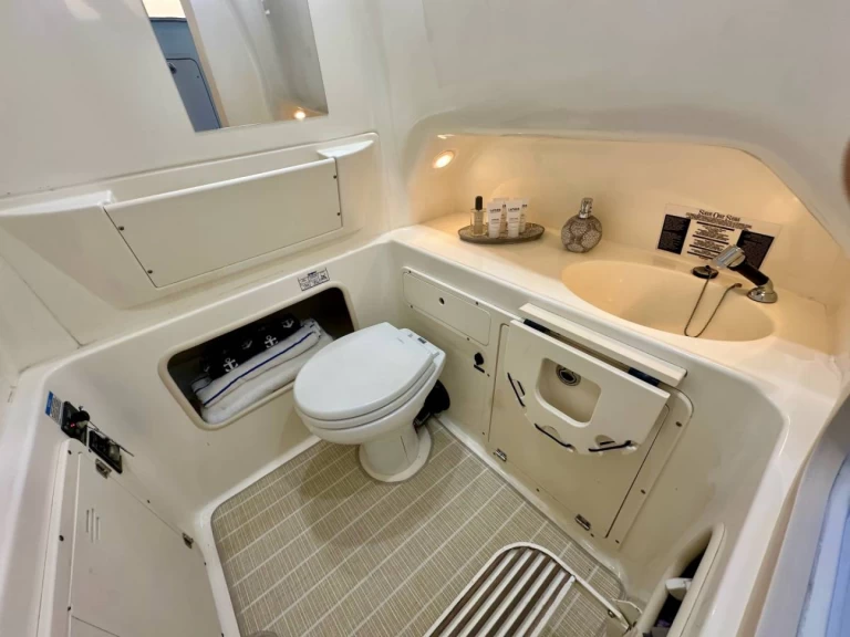 Bootverhuur Boston Whaler Boston Whaler 320 Outrage in Ýdra via SamBoat