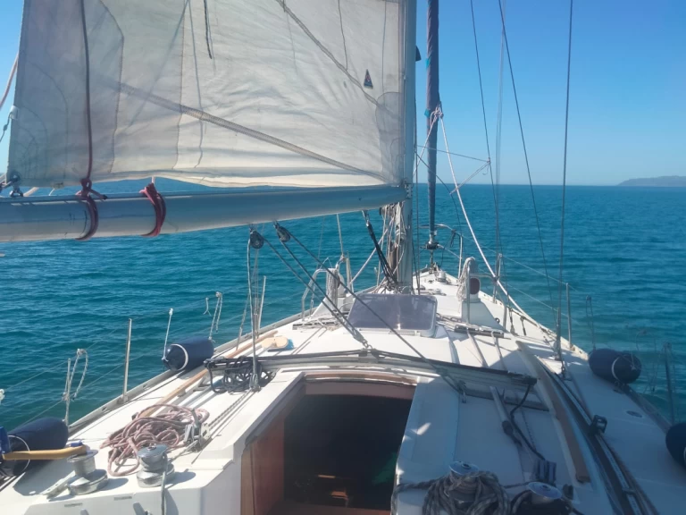 Bénéteau Canot 390 te huur van particulier of professional in Cagliari Port