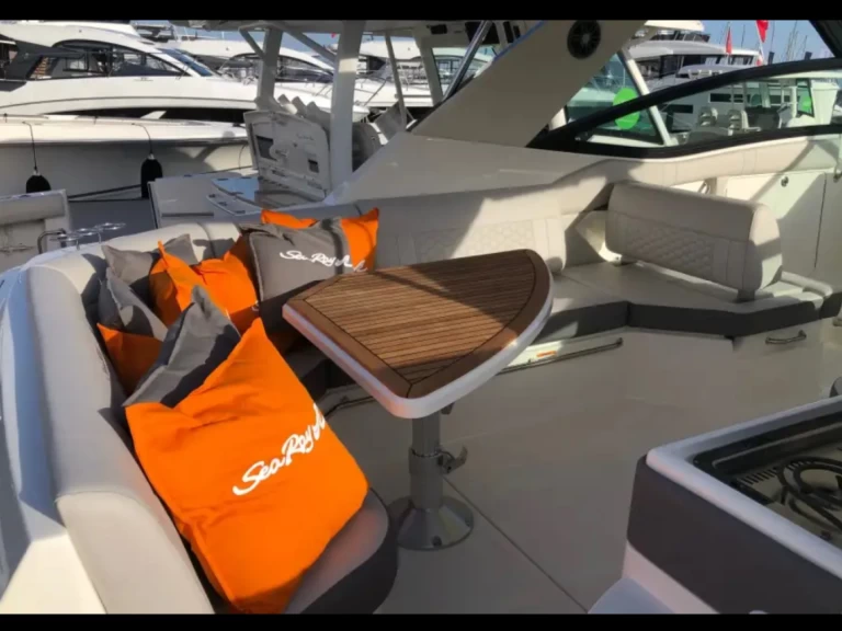 Verhuur Motorboot Sea Ray met vaarbewijs