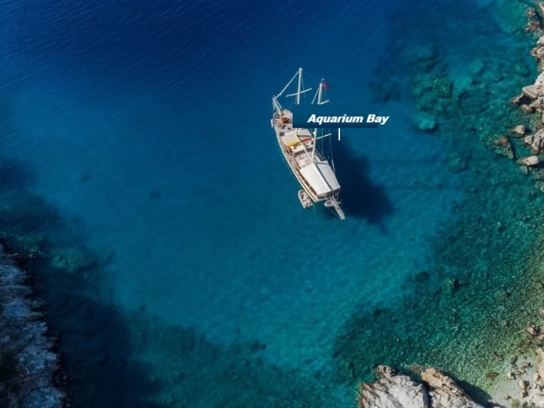 RIB te huur in Budrum Bay voor de beste prijs