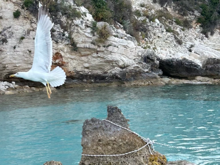 Catamaran te huur in Lefkáda voor de beste prijs