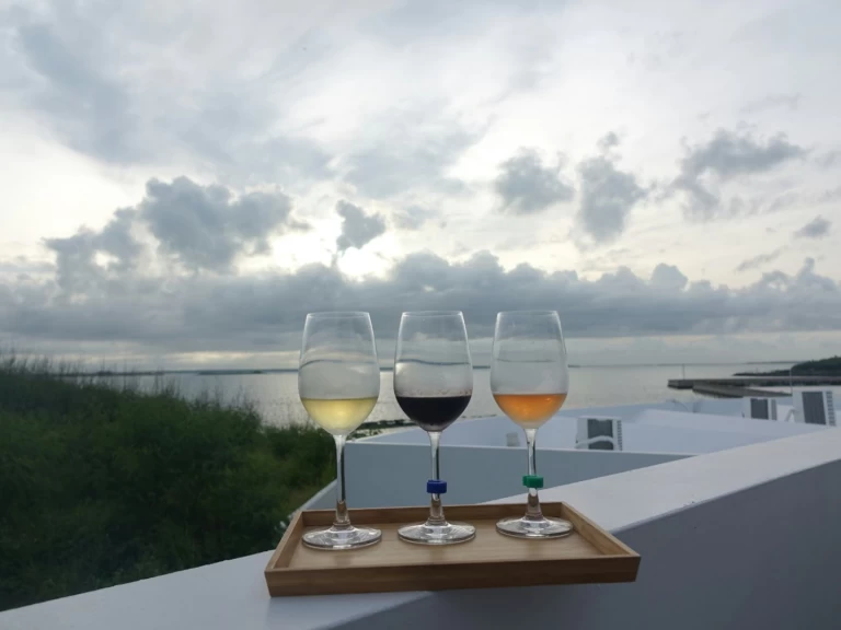 Verhuur RIB in Oía - Marco 26