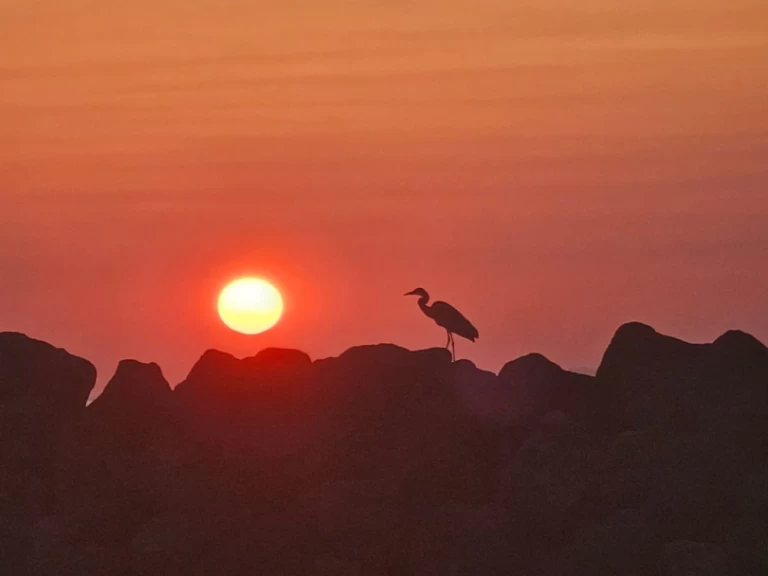 Bootverhuur Marco 26 in Oía via SamBoat