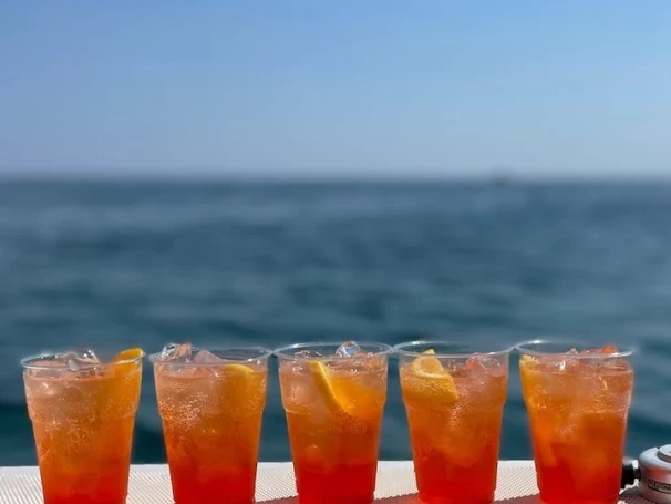 Huur RIB met of zonder schipper Perondi in Porto Cesareo (Port)