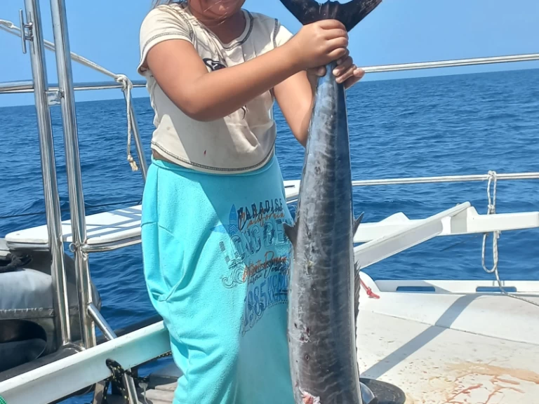 Verhuur Catamaran Wharram met vaarbewijs