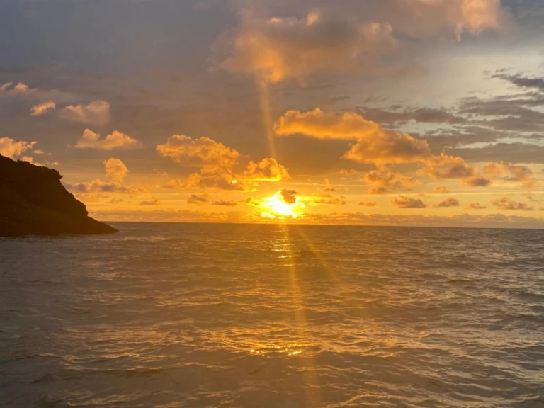 Pita Yacht Catamaran One Off te huur van particulier of professional in Hendaye