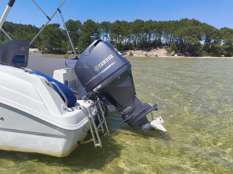 Huur een Pacific Craft Pacific Craft 545 Trendy in Sanguinet