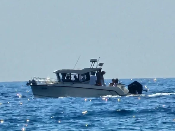 Huur een Quicksilver Pilithouse 805 cabine in Budva