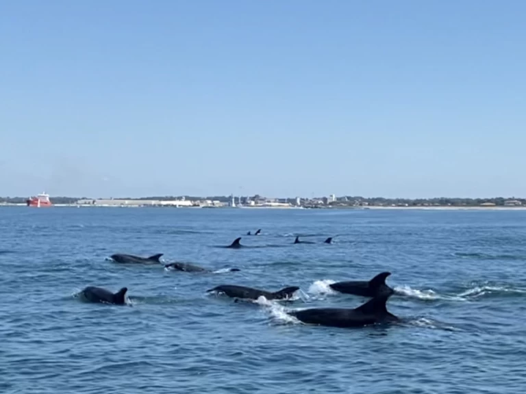 Bootverhuur Bayonne goedkoop Ultra 515 Open