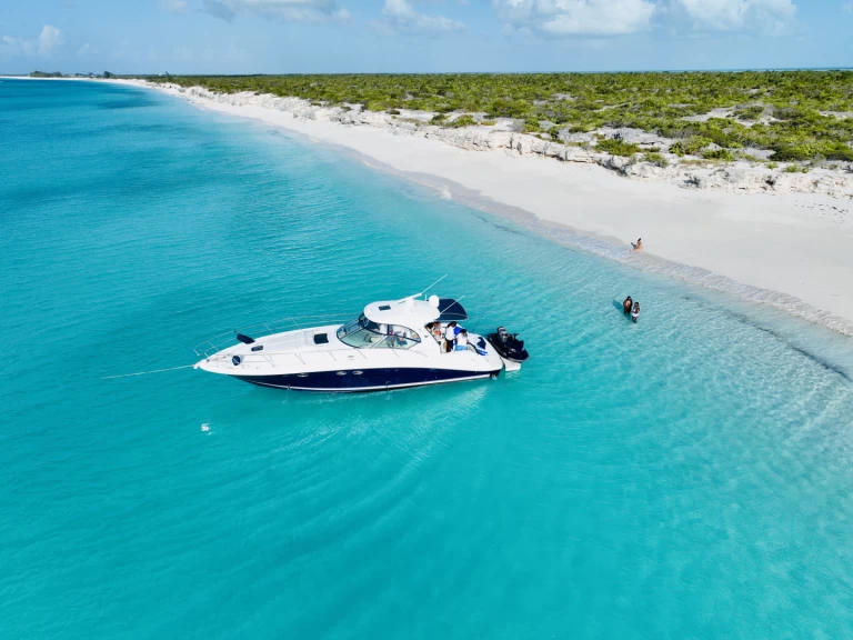 Huur een Sea Ray SUNDANCER 420 in Turks Islands