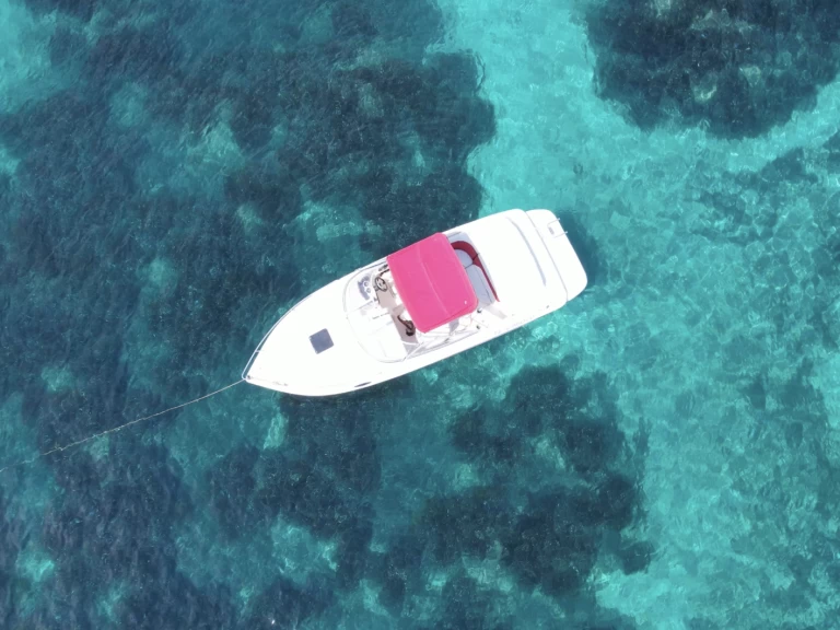 Jachthuur in Vieux Port de Cannes - Rinker Captiva 232 Cudy via SamBoat