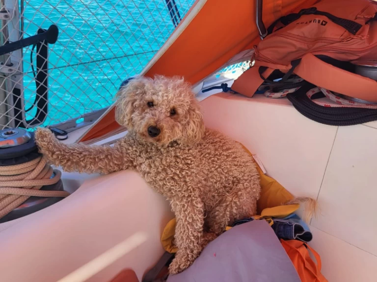 Bootverhuur Saint-Florent goedkoop Sun Fizz