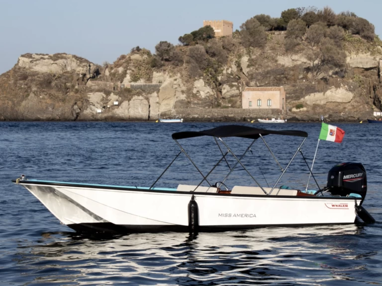 Jachthuur in Aci Trezza - Boston Whaler Boston Whaler 17 via SamBoat