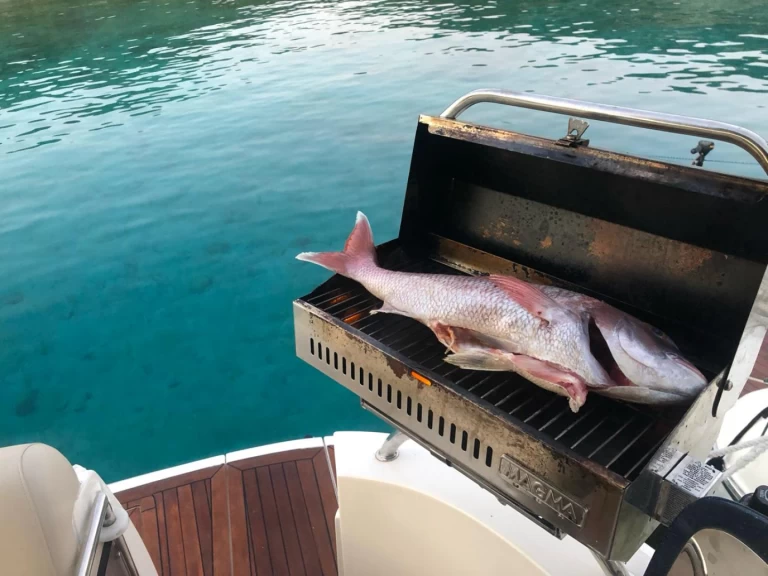 Verhuur Motorboot in Álimos - Sealine Sealine S38
