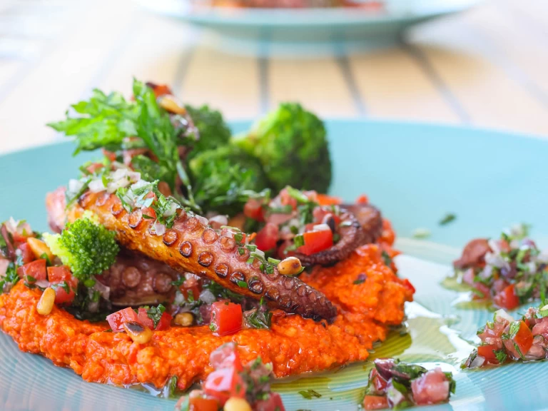 Verhuur Catamaran Sunreef met vaarbewijs