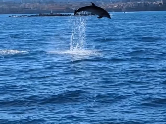 Verhuur Motorboot Navan met vaarbewijs