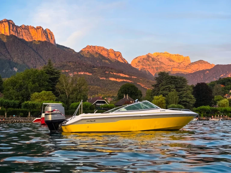 Huur Motorboot met of zonder schipper Sea Ray in Annecy