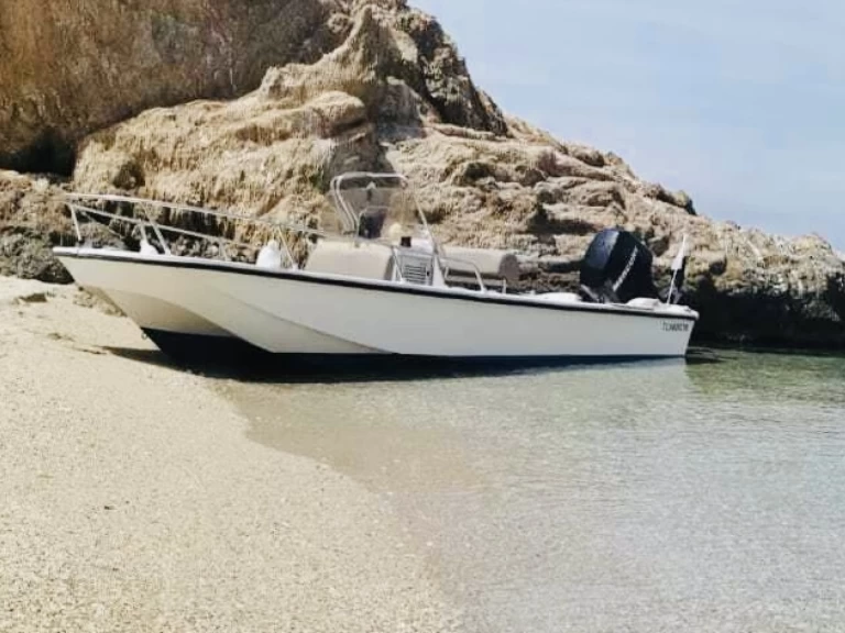 Jachthuur in Larmor-Plage - Boston Whaler Boston Whaler 17 via SamBoat