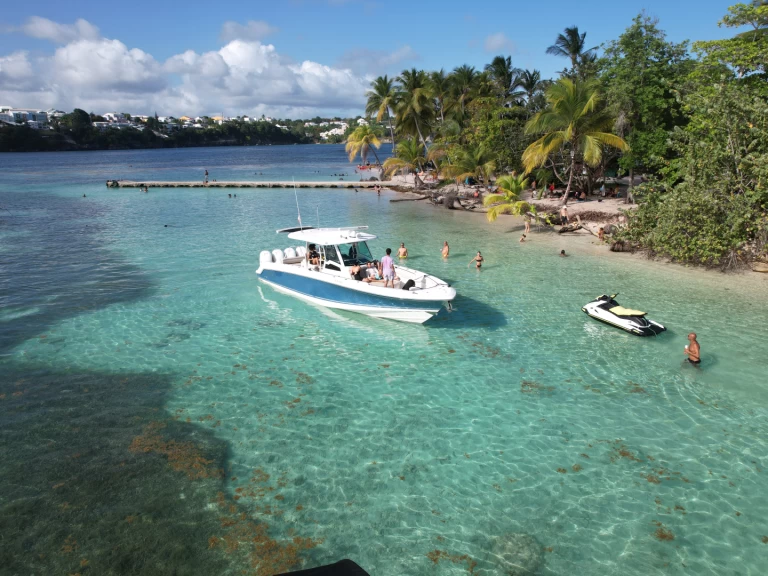 Jachthuur in Pointe-à-Pitre - Boston Whaler Boston Whaler 380 Outrage via SamBoat