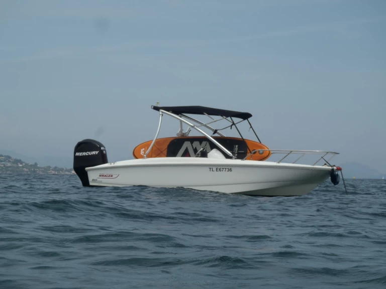 Jachthuur in Sainte-Maxime - Boston Whaler Boston Whaler 170 super sport via SamBoat