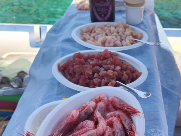 Verhuur RIB Northstar met vaarbewijs