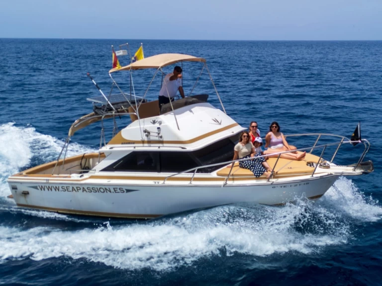 Verhuur Motorboot in Guía de Isora - Bertram Bertram 28 flybrigde