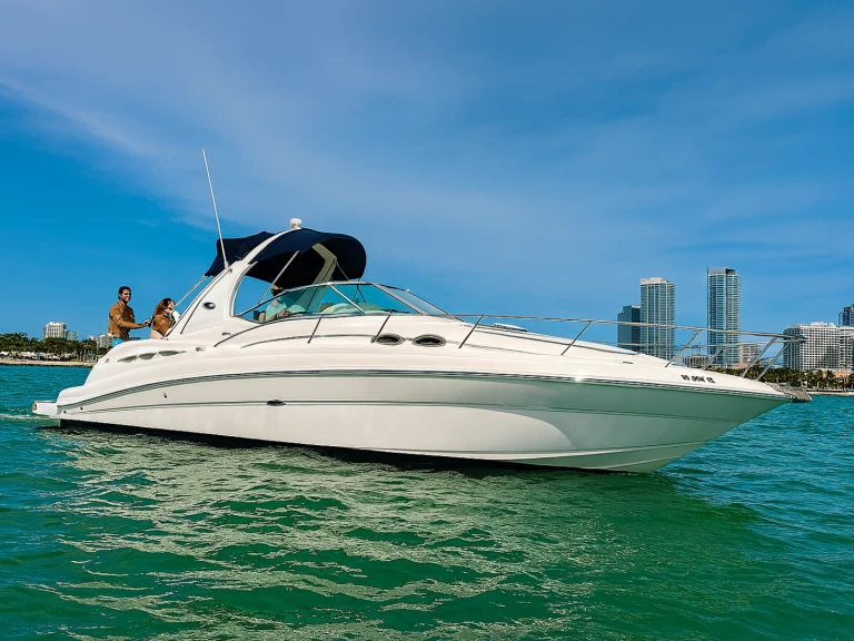 Verhuur Motorboot Sea Ray met vaarbewijs