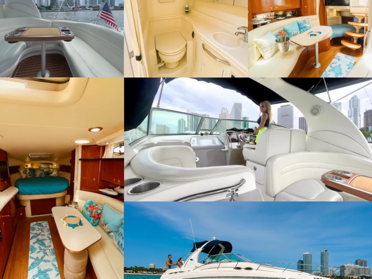 Sea Ray Sundancer 37 te huur van particulier of professional in Miami