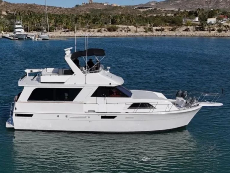 Huur een Chris Craft Constellation 55 in San José del Cabo