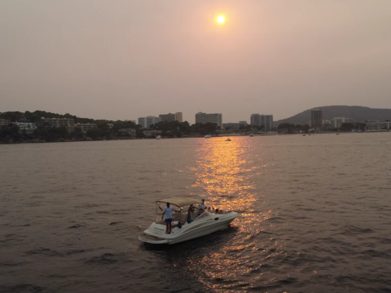 Huur een Sea Ray Sea Ray 240 Sundeck in Palma de Mallorca