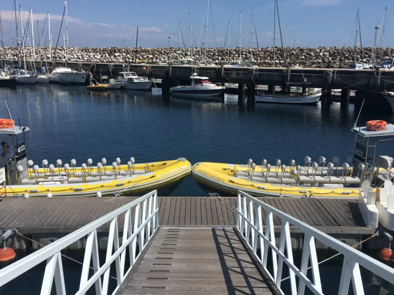 Vanguard TX 860 te huur van particulier of professional in Sesimbra