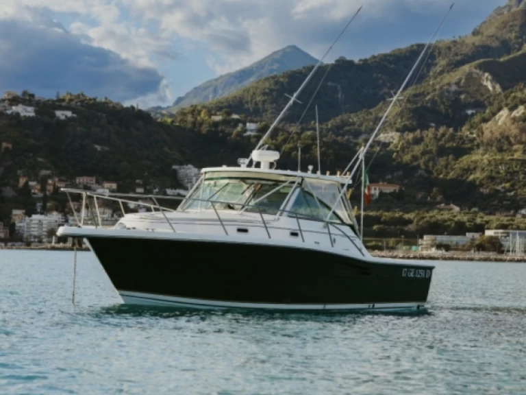Verhuur Motorboot in Monaco - PURSUIT  3400 "Express"