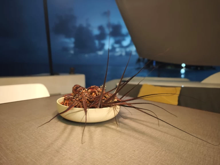 Verhuur Catamaran Oyacht met vaarbewijs