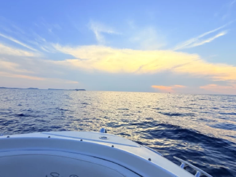 Huur Motorboot met of zonder schipper Sea Ray in Sant Antoni de Portmany