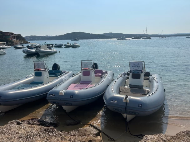 Verhuur RIB Bwa met vaarbewijs