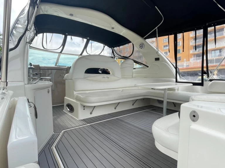 Verhuur Motorboot Sea Ray met vaarbewijs
