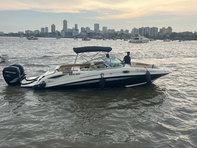 Sea Ray Sea Ray SDX 290 te huur van particulier of professional in Mumbai